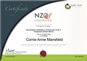 Corrie certificate