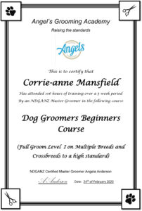 Corrie certificate